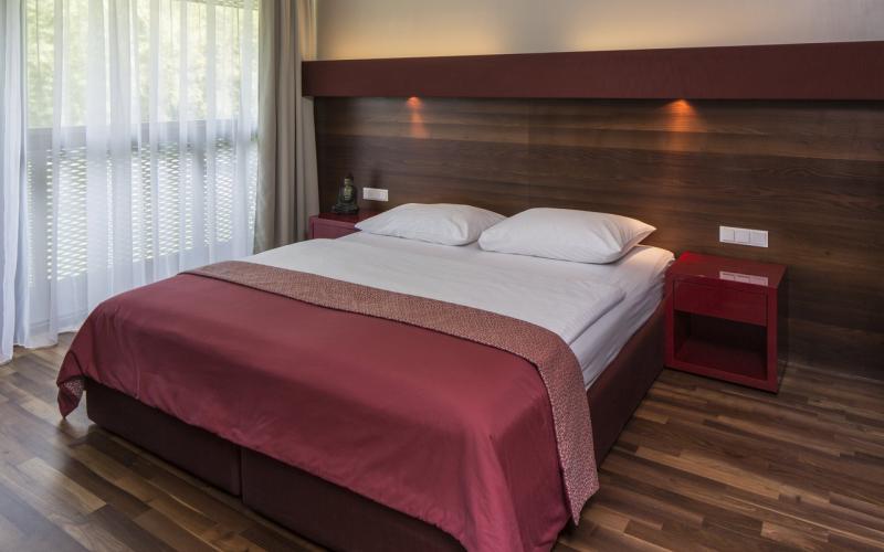 Asia Hotel &amp; Spa Leoben