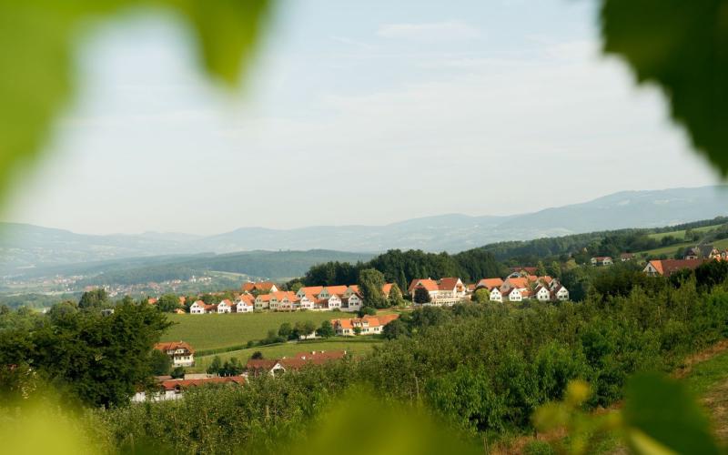 Blick auf das Wilfinger Thermal Biodorf und die umliegenden Hügel
