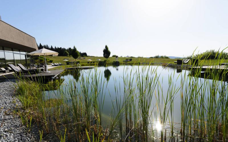 Schwimmteich mit Schilf im Hotel AVIVA