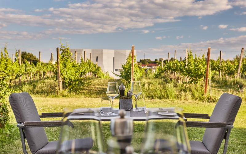 Blick in die Weinberger von der Terrasse des Loisium Wine Spa Hotel Langenlois