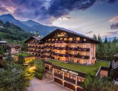 Hotel Alpina ****