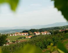 Blick auf das Wilfinger Thermal Biodorf und die umliegenden Hügel