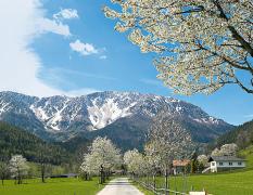 Ausblick in die Berge vom Hotel Schneeberghof