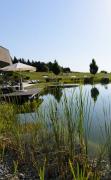 Schwimmteich mit Schilf im Hotel AVIVA